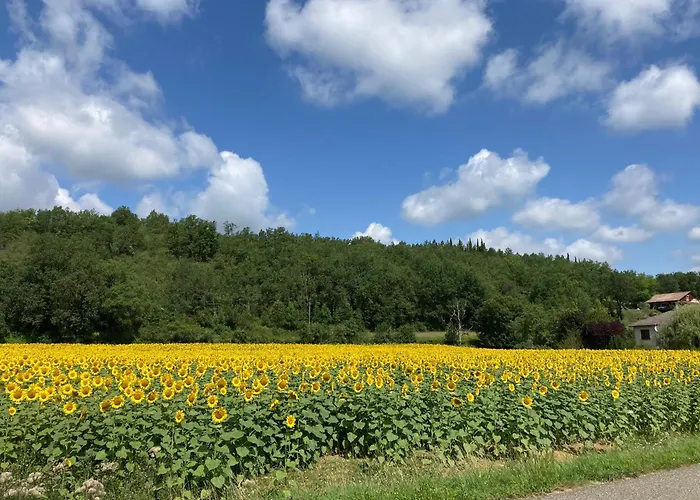 Quiet Double Ensuite Room, Own Entrance 3*